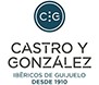 Castro y Gonzalez